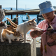 These cats are waiting for a pill, maybe.